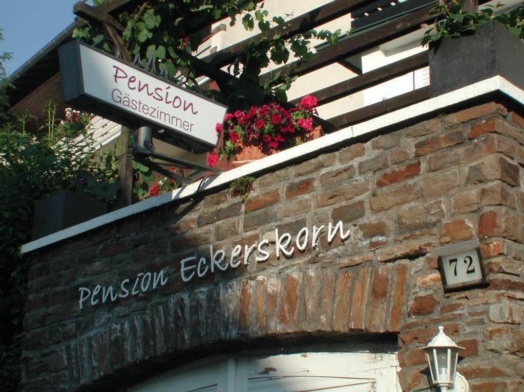Haus Uebernachtenswert Cochem Mosel Экстерьер фото